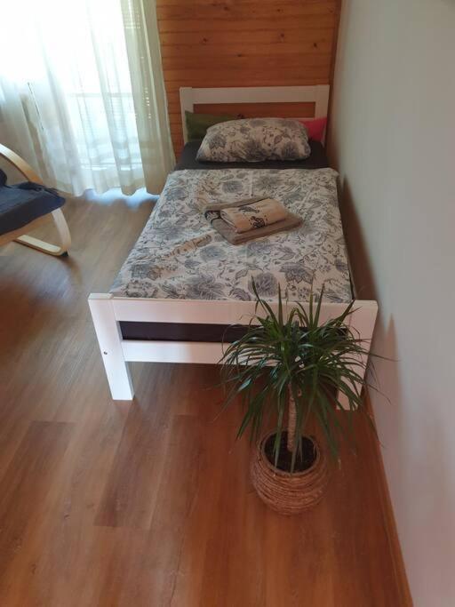 Room Sodja Bohinj Dış mekan fotoğraf